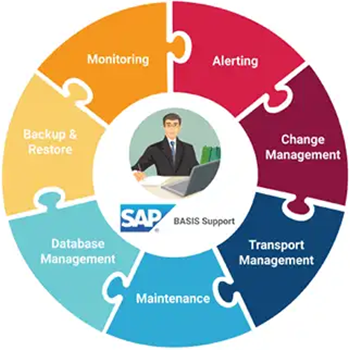 Collaboration of SAP Basis Admin Team | Nordia